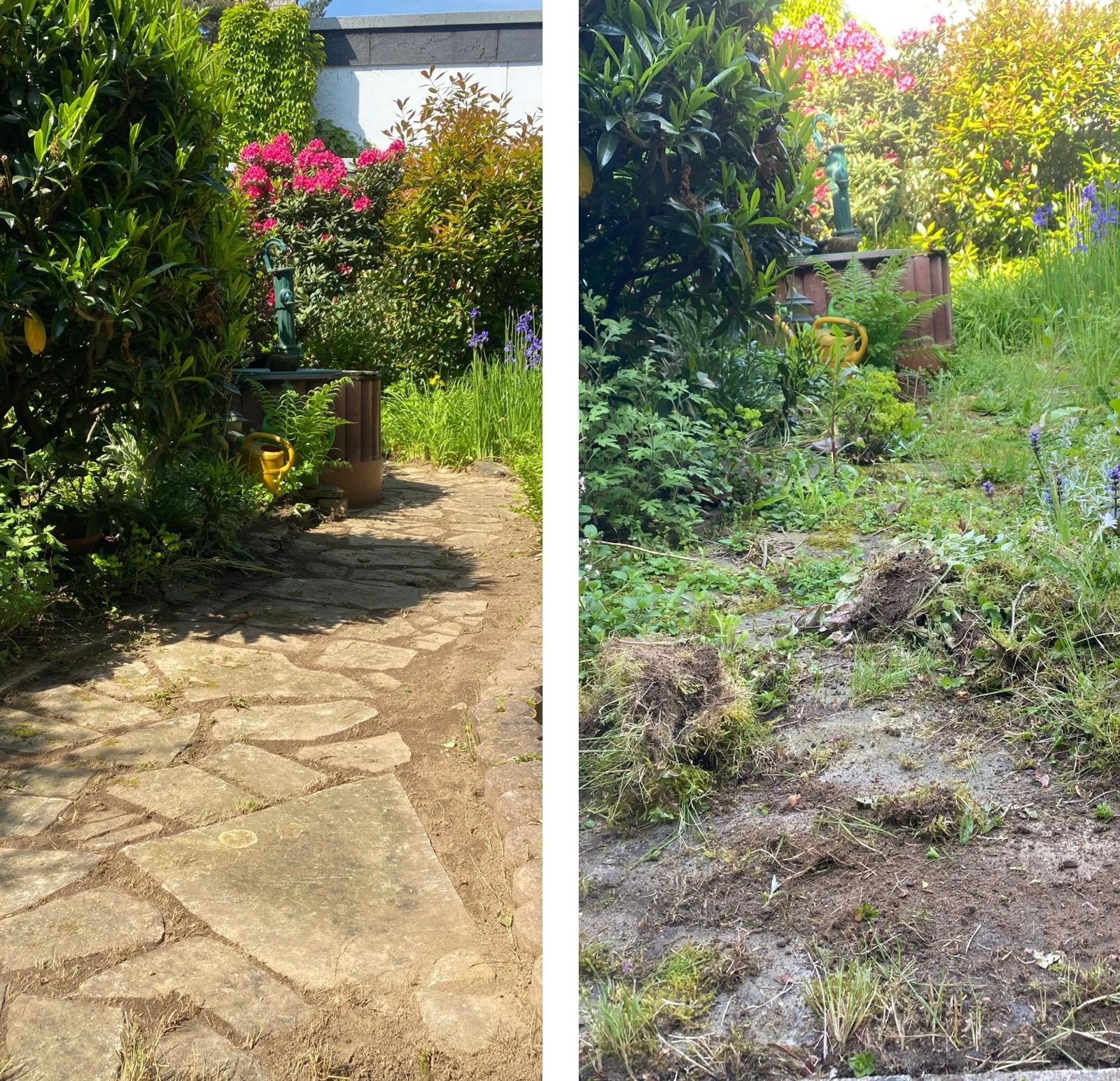 Gartenpflege Beispiel - Mallal Service Sankt Augustin