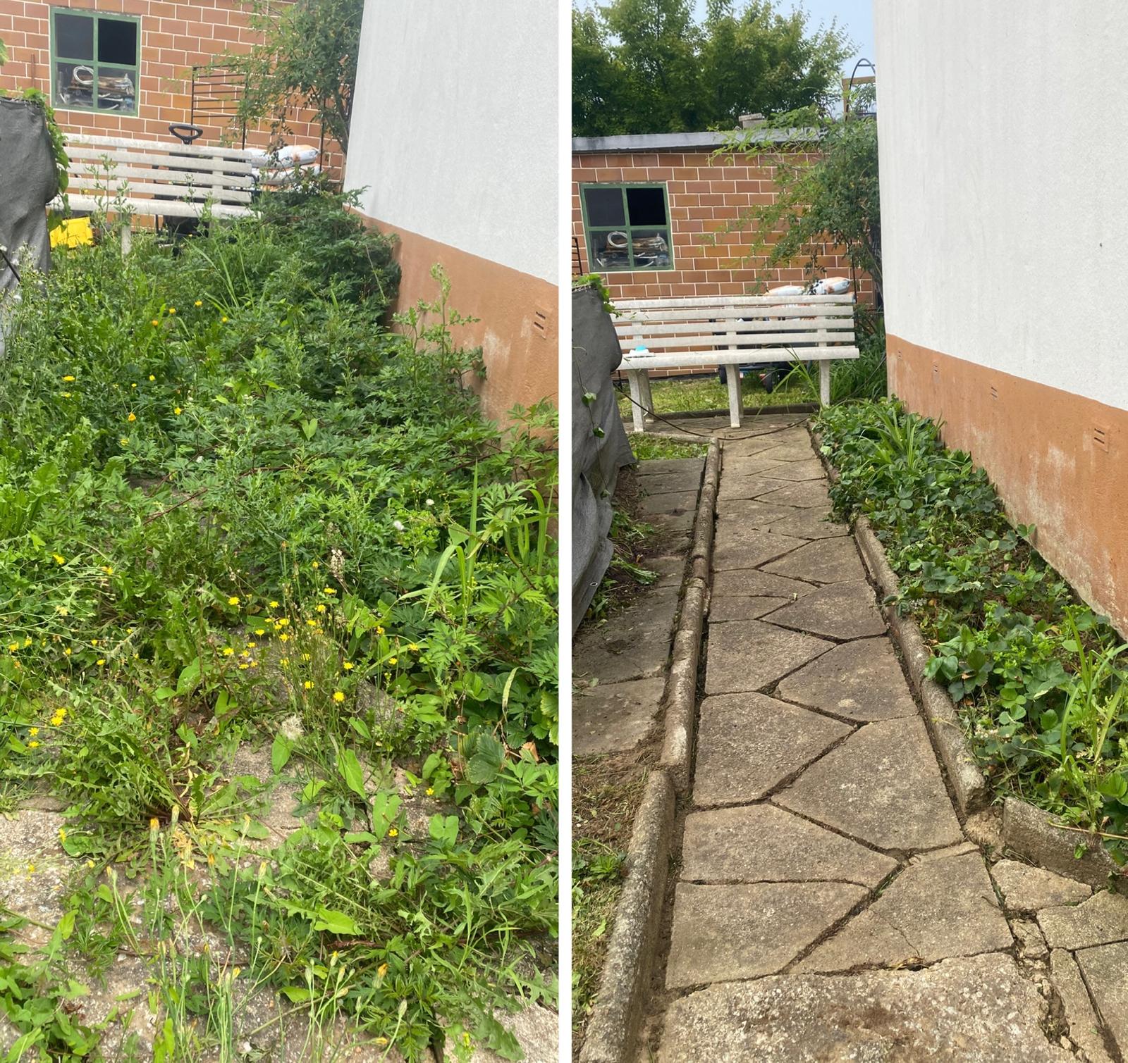 Gartenpflege Beispiel 11