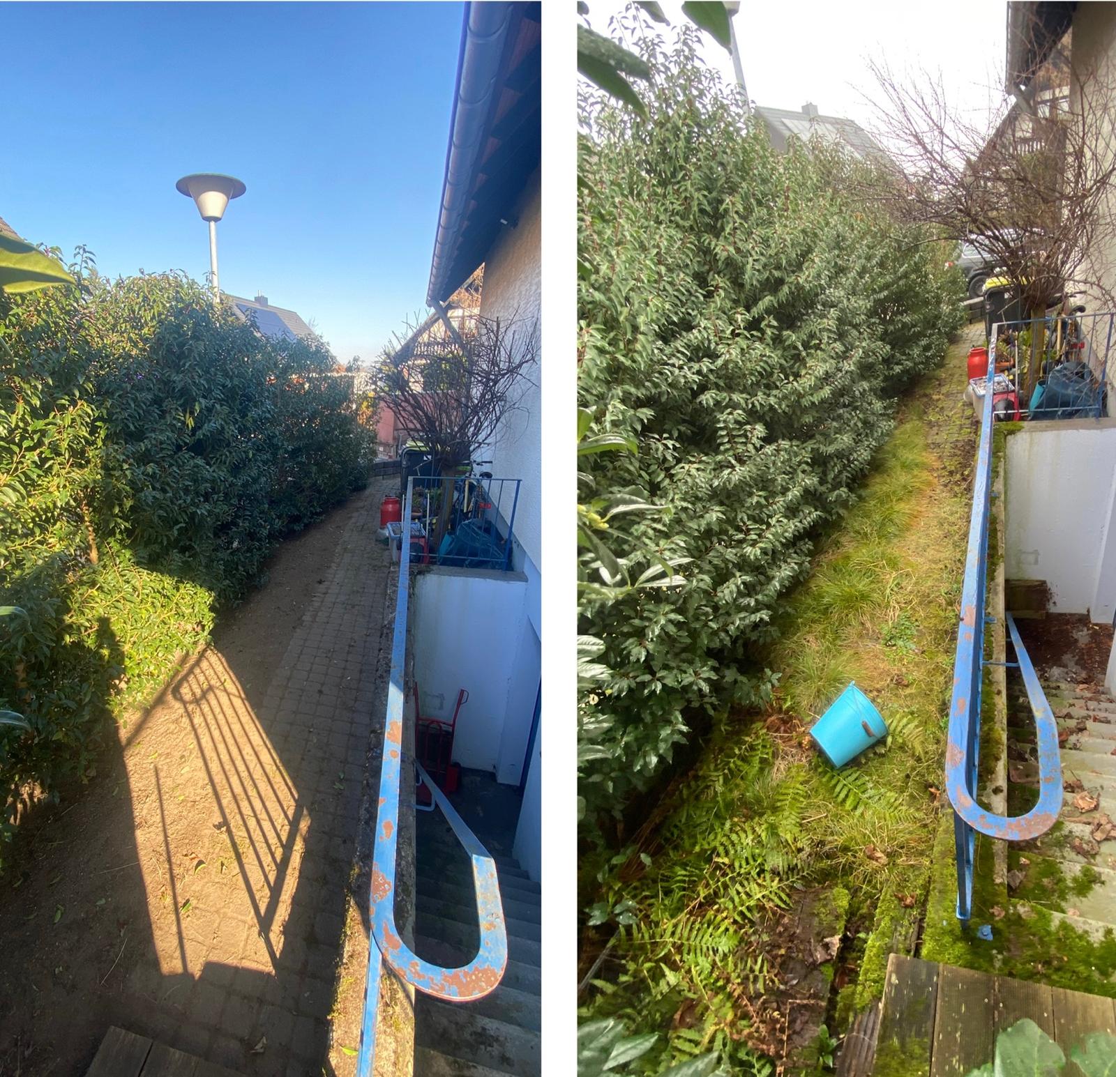 Gartenpflege Beispiel 13