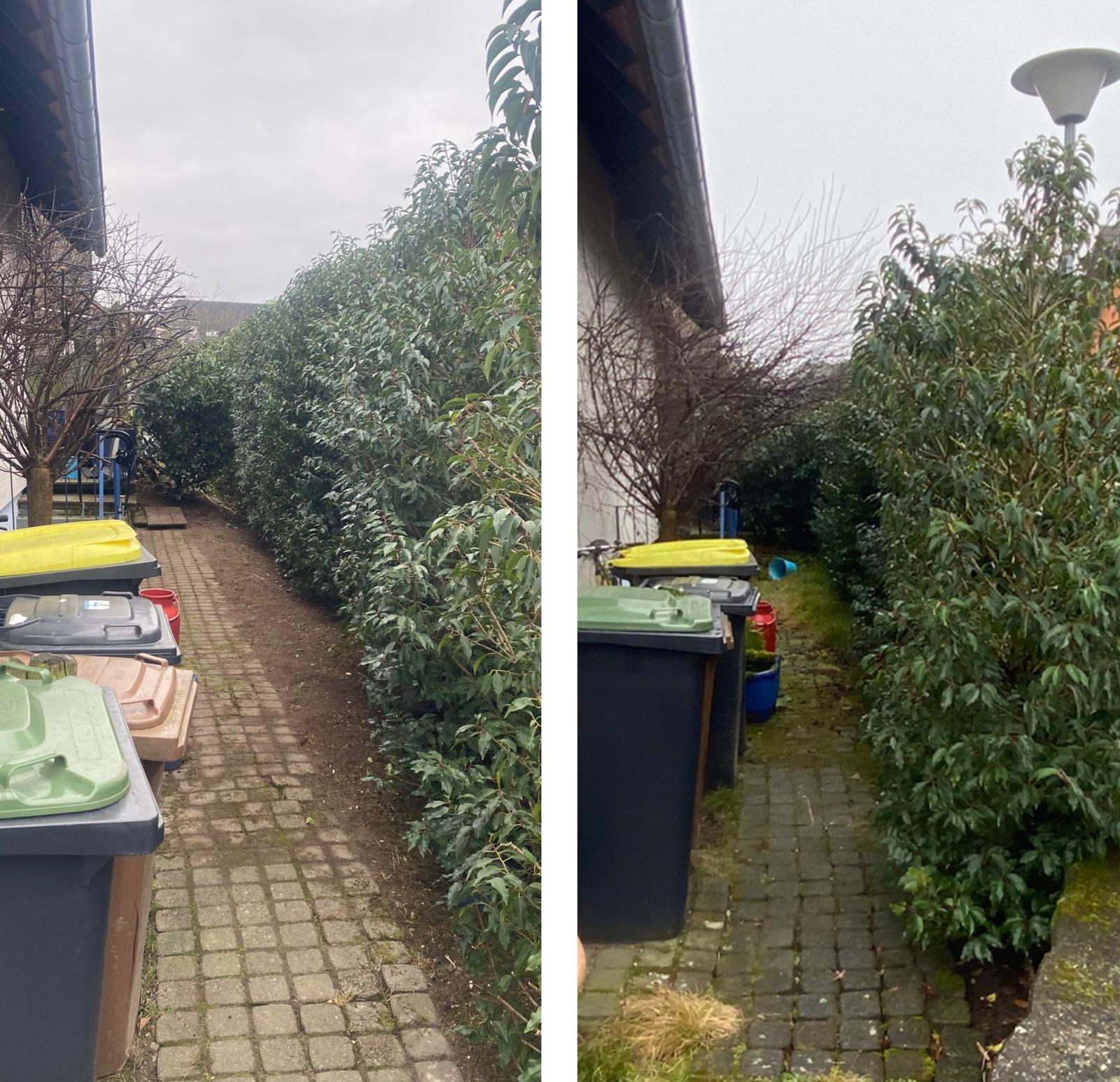 Gartenpflege Beispiel 15