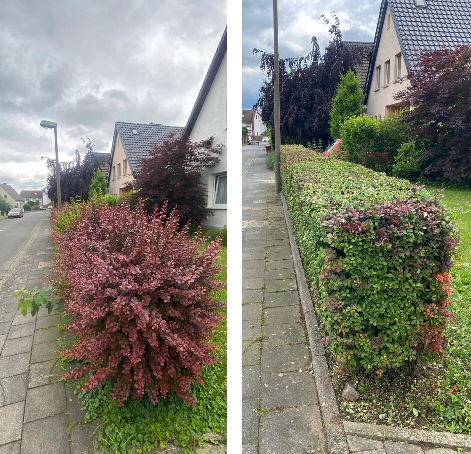 Gartenarbeit - Mallal Service Sankt Augustin