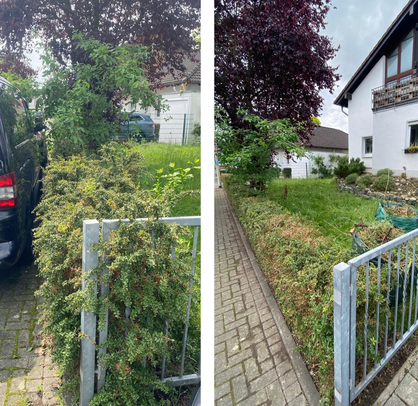 Gepflegter Garten - Mallal Service Sankt Augustin