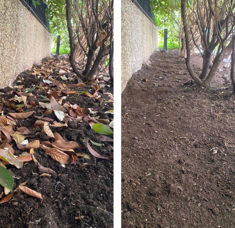 Gartenpflege Beispiel 6