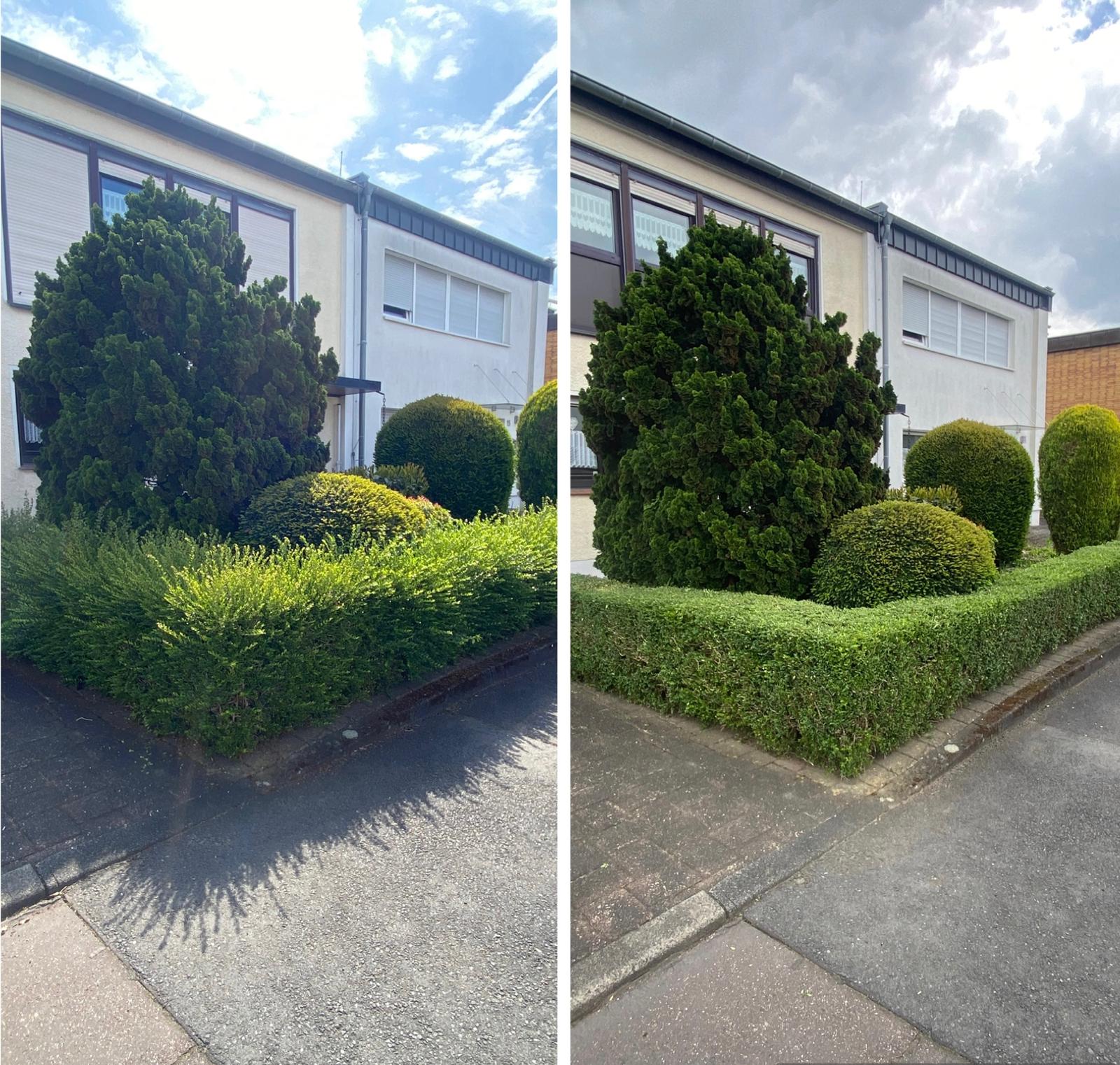 Gartenpflege Beispiel 9